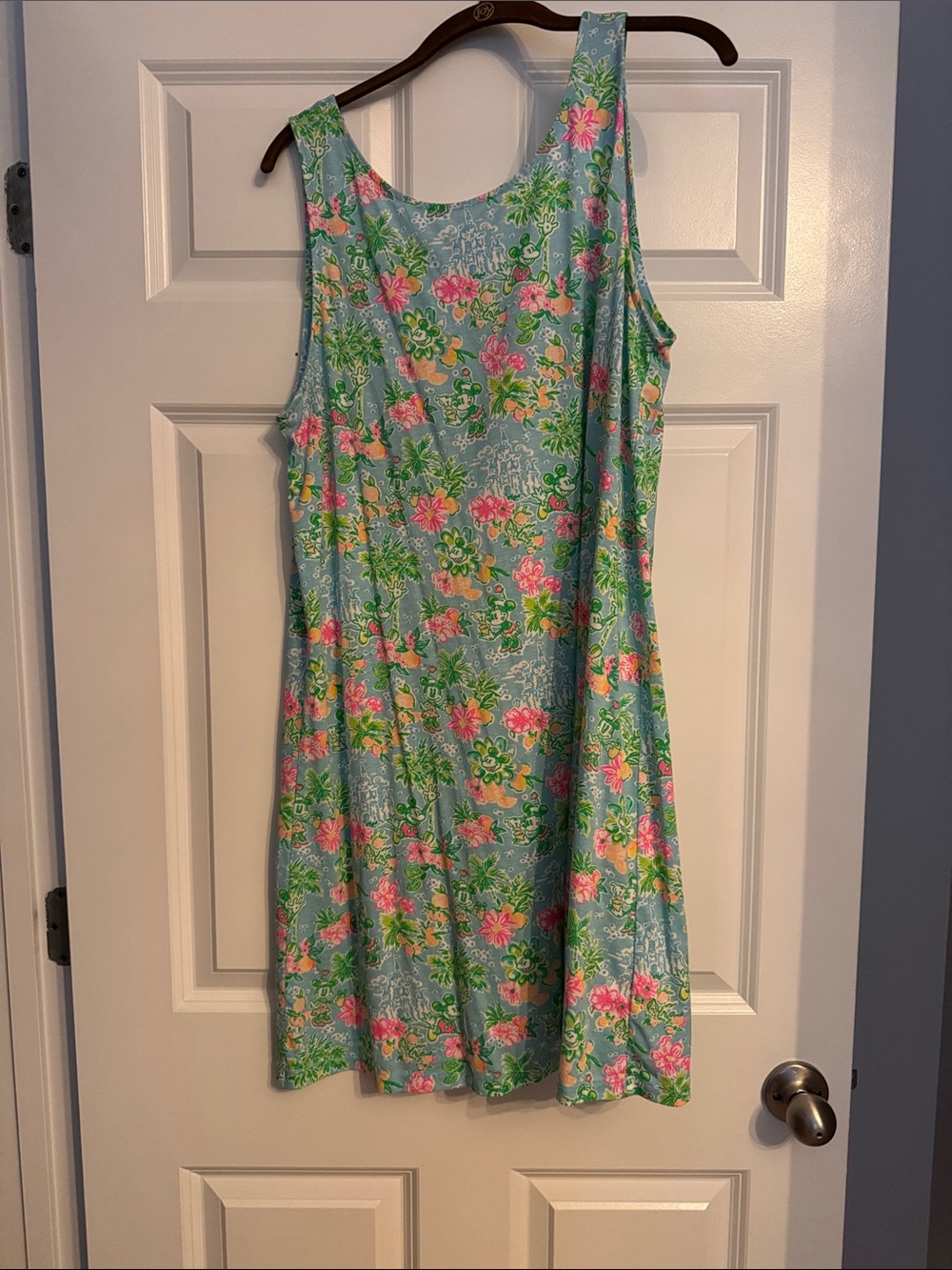 Disney x Lilly Pulitzer Sleeveless Floral A-Line Dress in Aqua and Pink